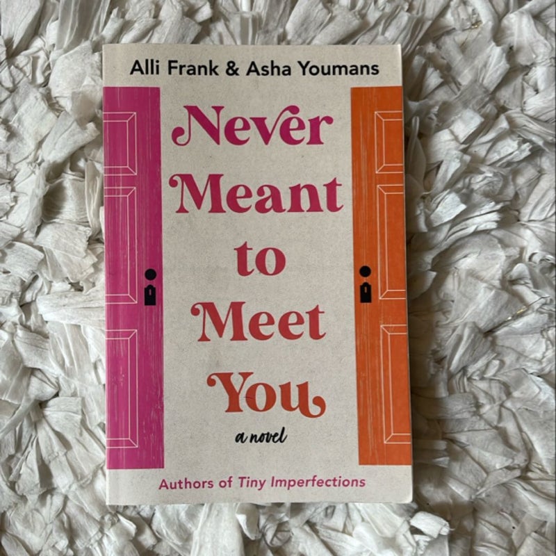 Never Meant to Meet You