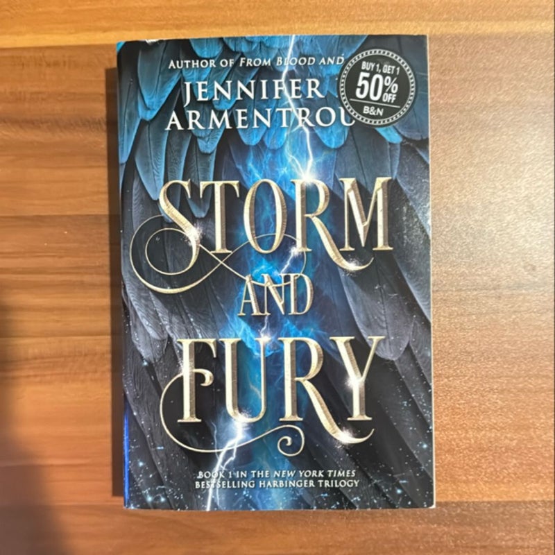 Storm and Fury