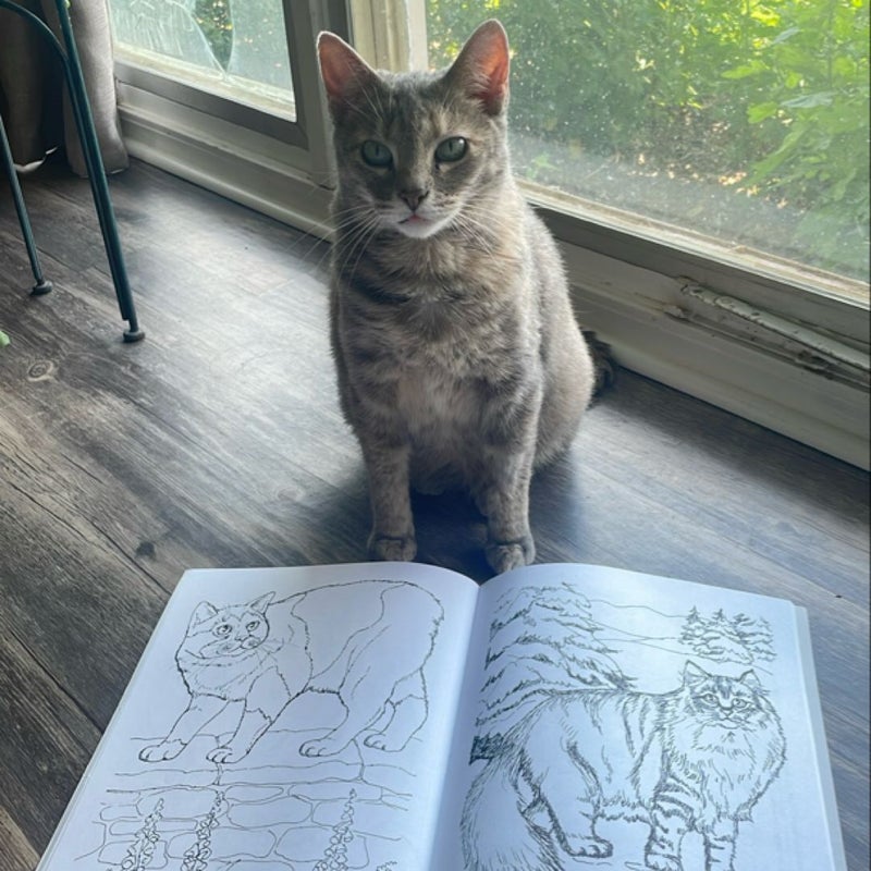 Color Your Own Cats and Kittens