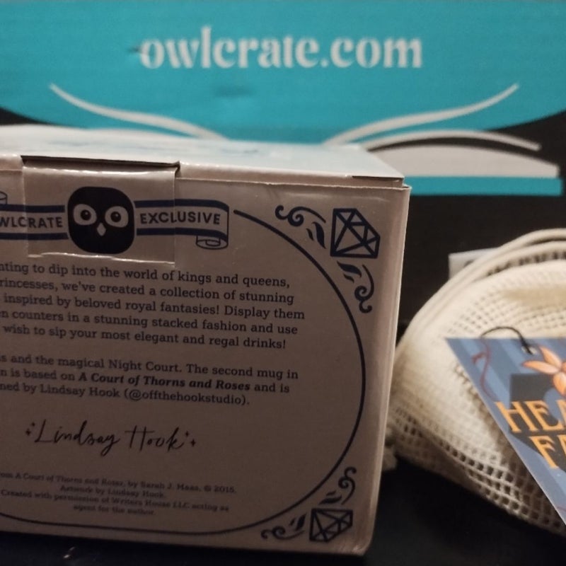 Owlcrate ACOTAR Sarah J Mass Mug and Prison Healer Bonus Item