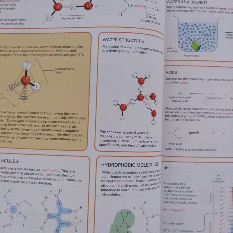 Essential Cell Biology