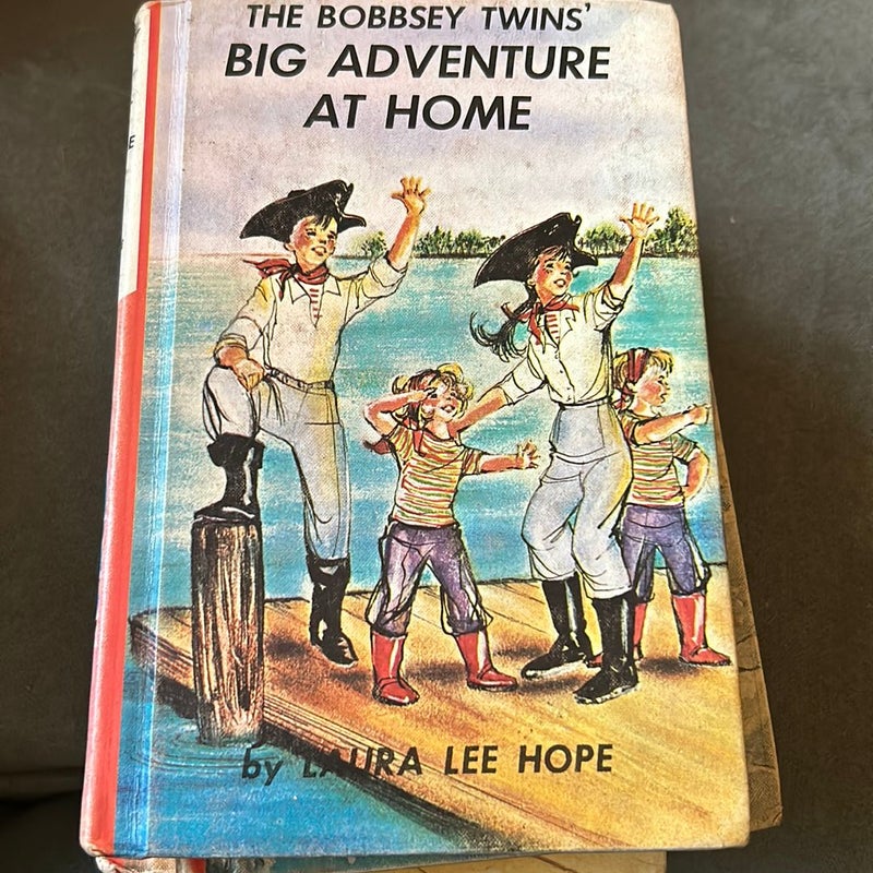 The Bobbsey Twins’ Big Adventure at Home