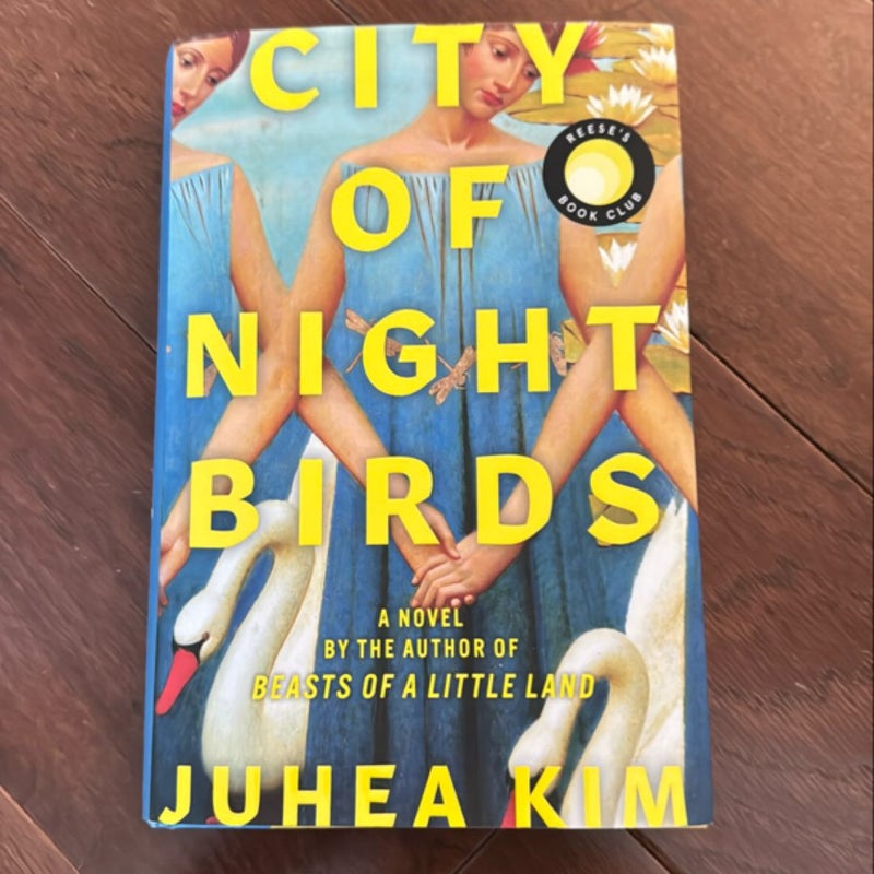 City of Night Birds