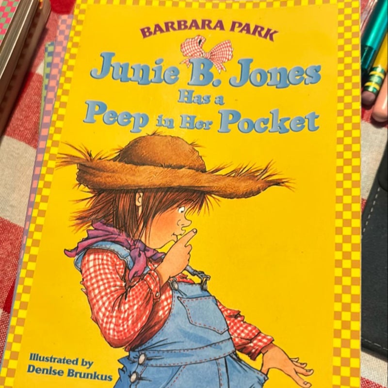 Junie B Jones Collection