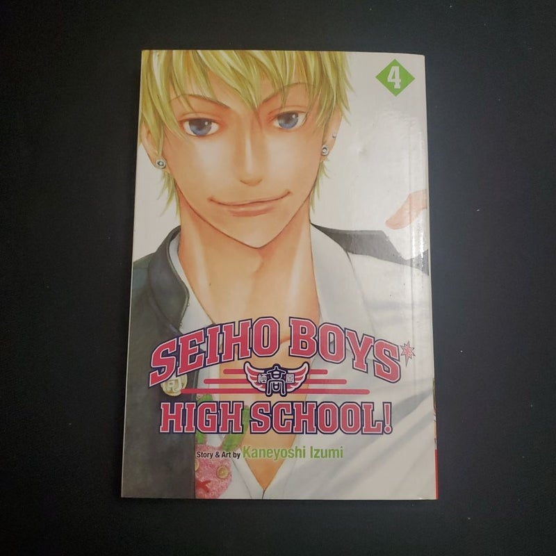 Seiho Boys' High School!, Vol. 4