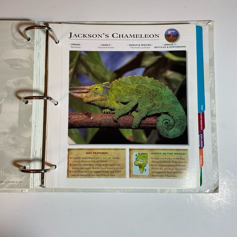Wildlife Explorer Binder — Groups 1-8 with  100+ Cards & Tabs, Published 1998