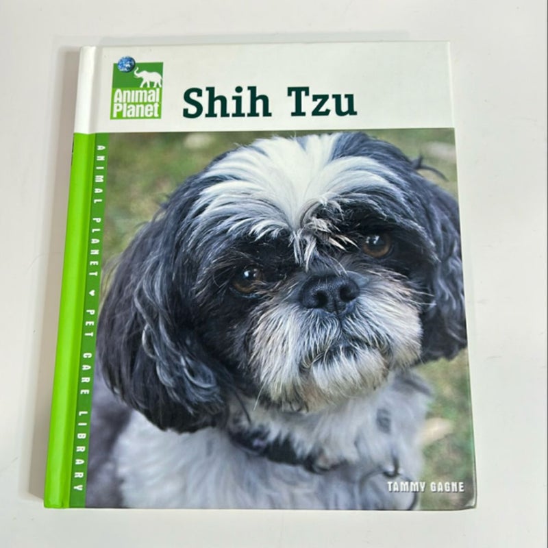 Shih Tzu