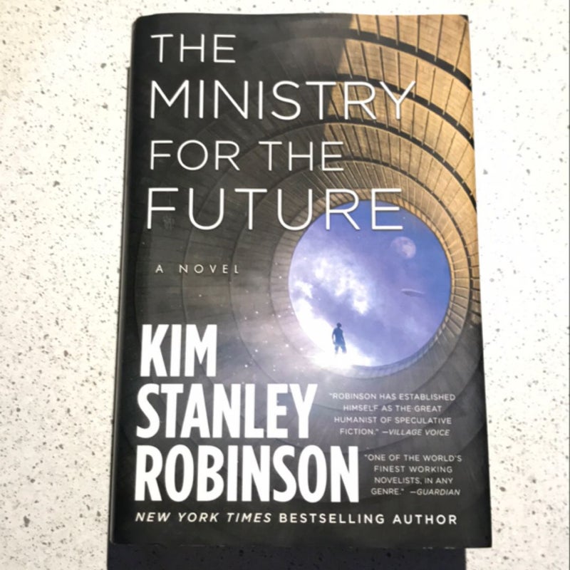 The Ministry for the Future