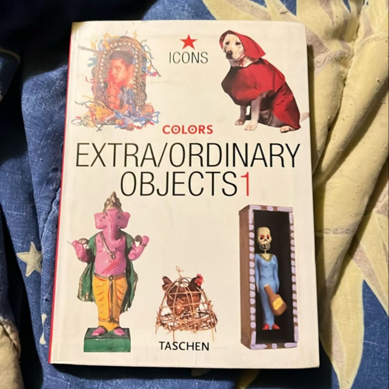 Extra/Ordinary Objects