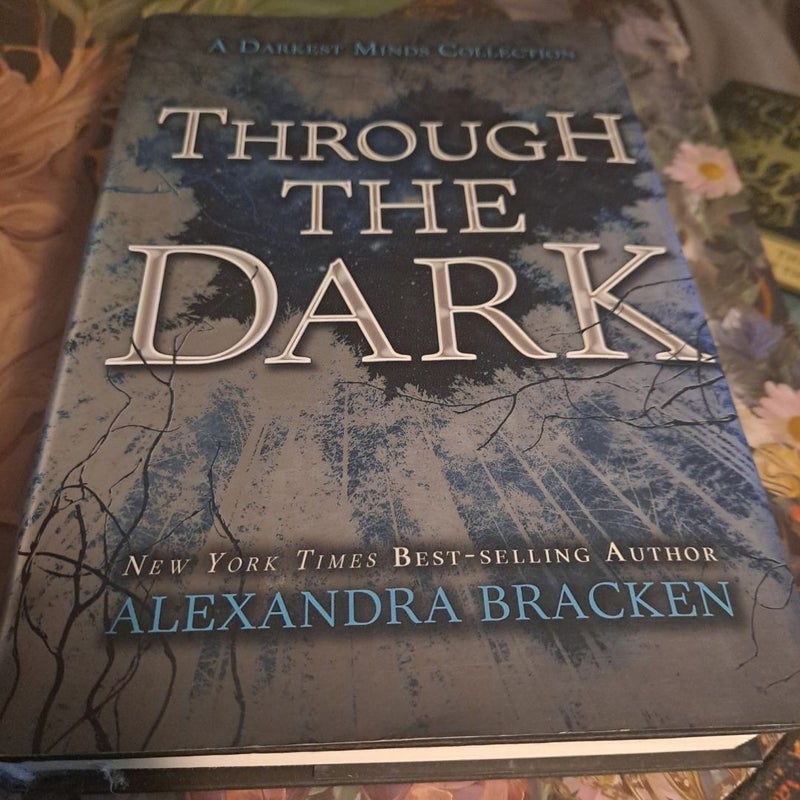 Through the Dark (a Darkest Minds Collection)