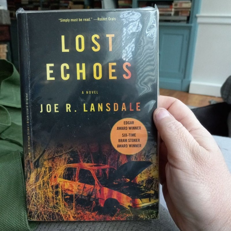 Lost Echoes