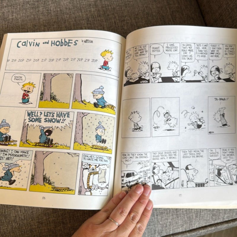 The Essential Calvin and Hobbes