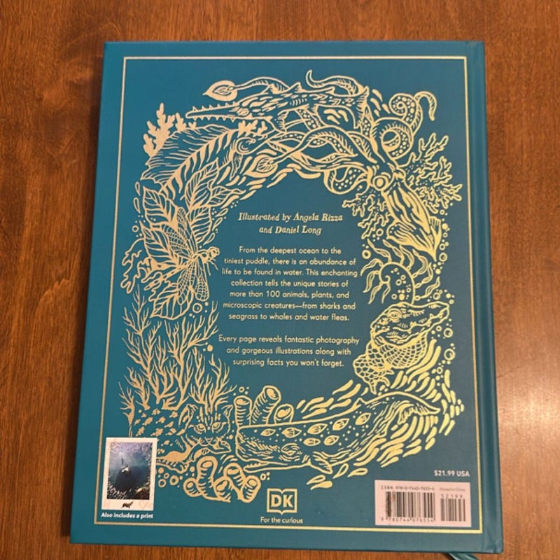 DK Books An Anthology of Aquatic Life