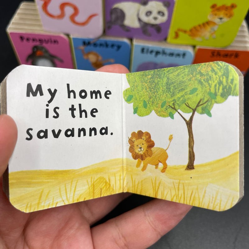 Children’s animals themed small mini 2” x 2” board books