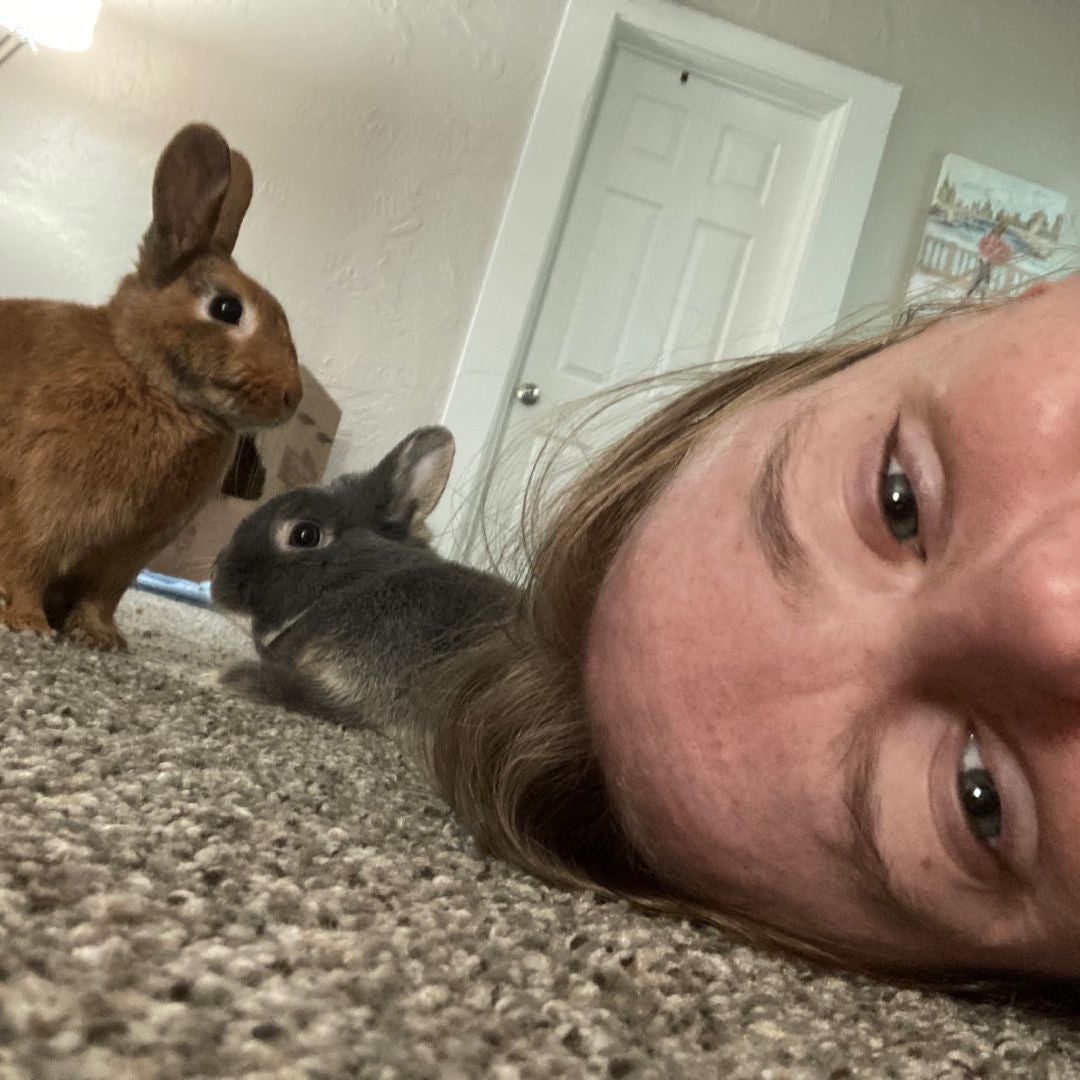 Bunny Books