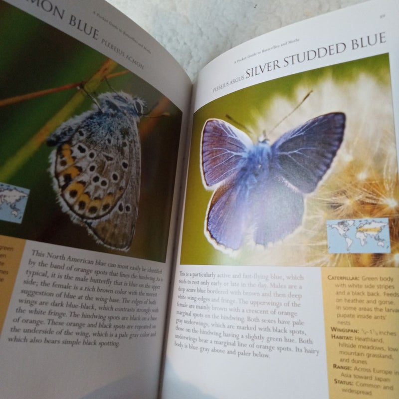 A Pocket Guide to Butterflies and Moths