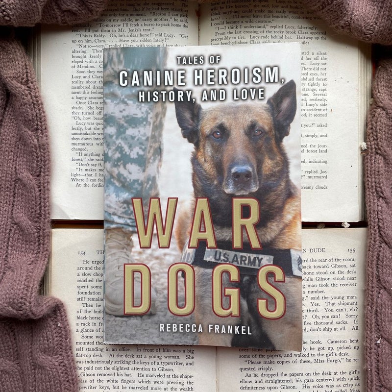 War Dogs