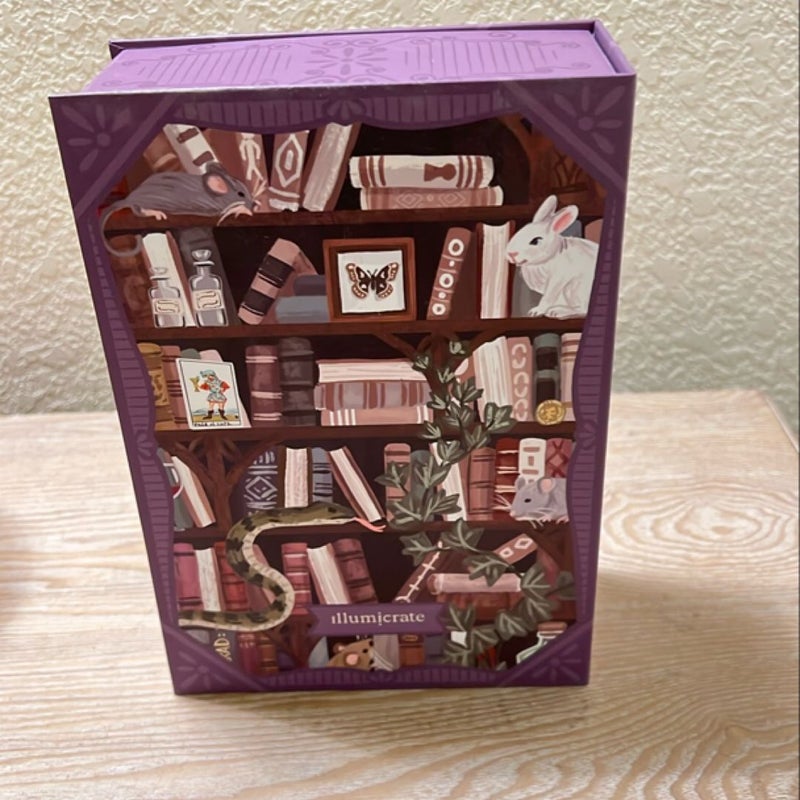 Illumicrate Dark Academia Bookcase Puzzle