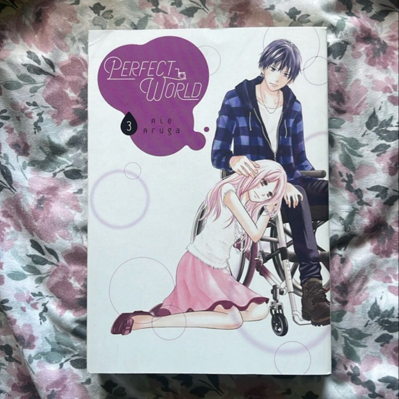 Perfect World 3
