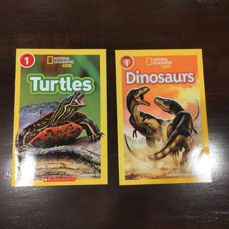 Level 1 lot Turtles and Dinosaurs