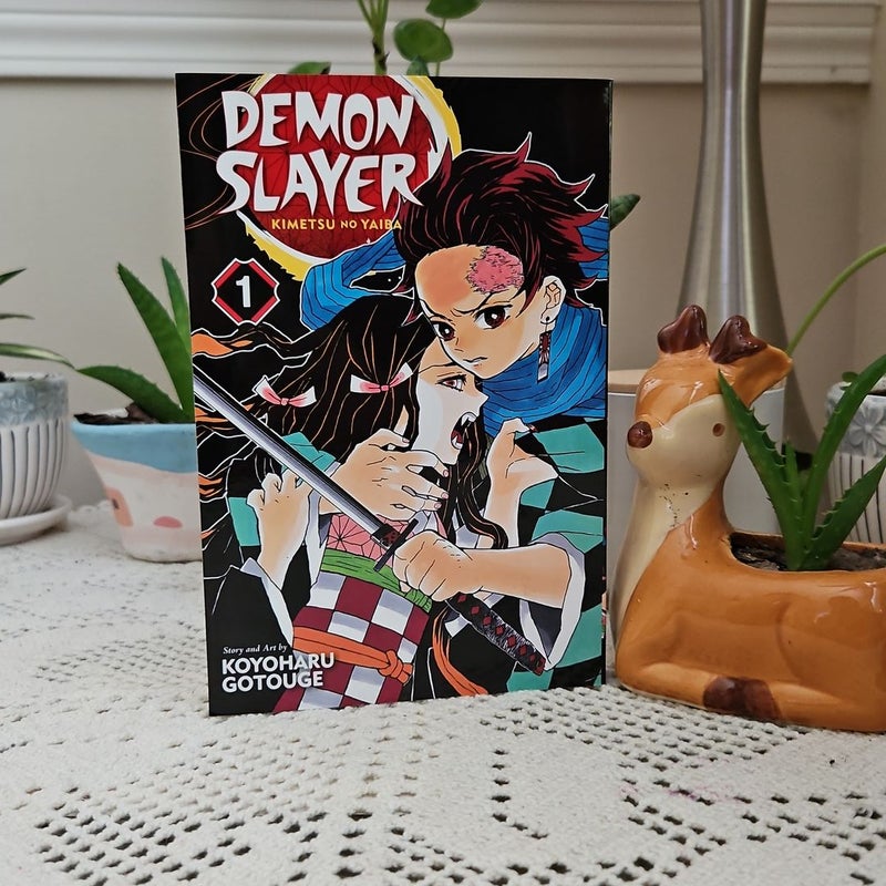 Demon Slayer: Kimetsu No Yaiba, Vol. 1 by Koyoharu Gotouge, Paperback |  Pangobooks