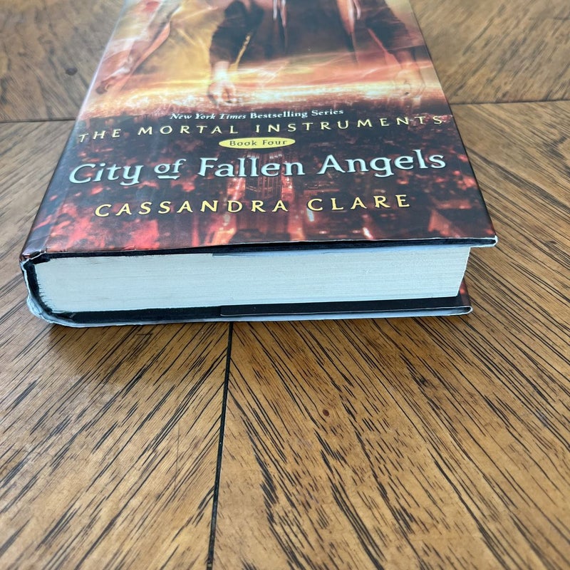 City of Fallen Angels