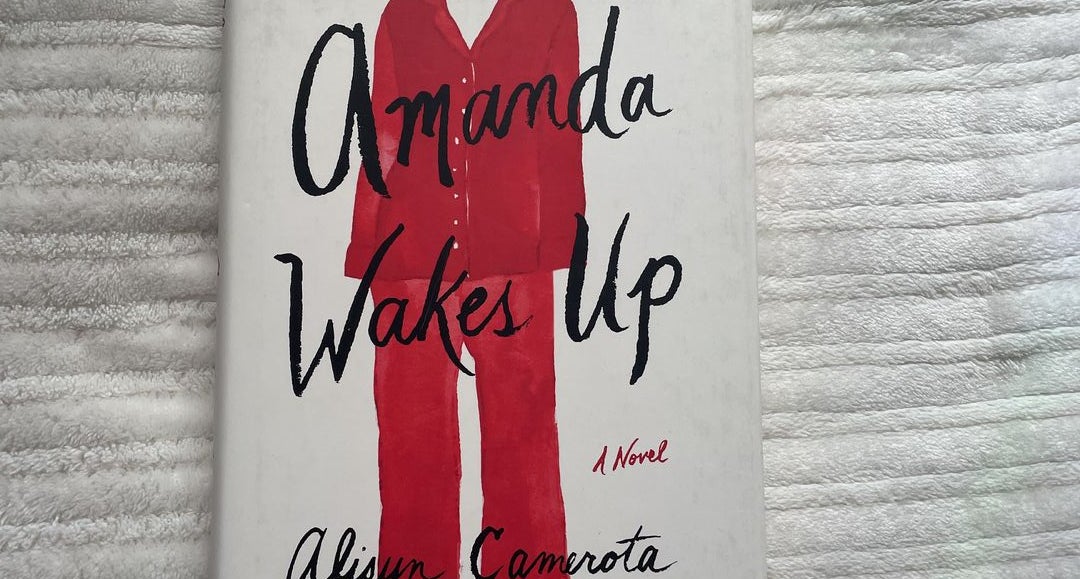 Amanda Wakes Up: Camerota, Alisyn: 9780399563997: : Books