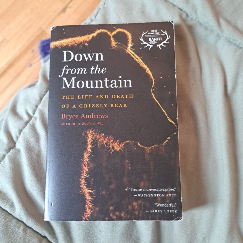 Down from the Mountain