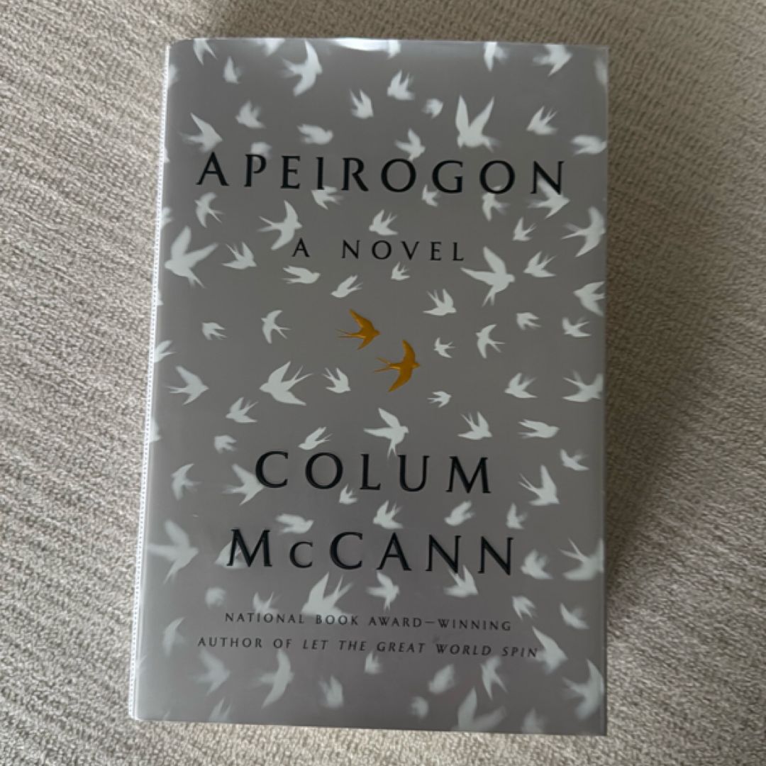 Apeirogon: a Novel