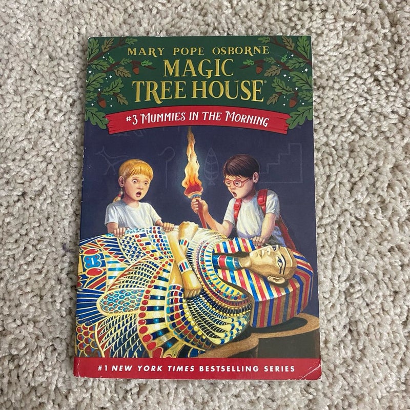 Magic treehouse Book Lot