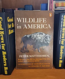 Wildlife in AMERICA 