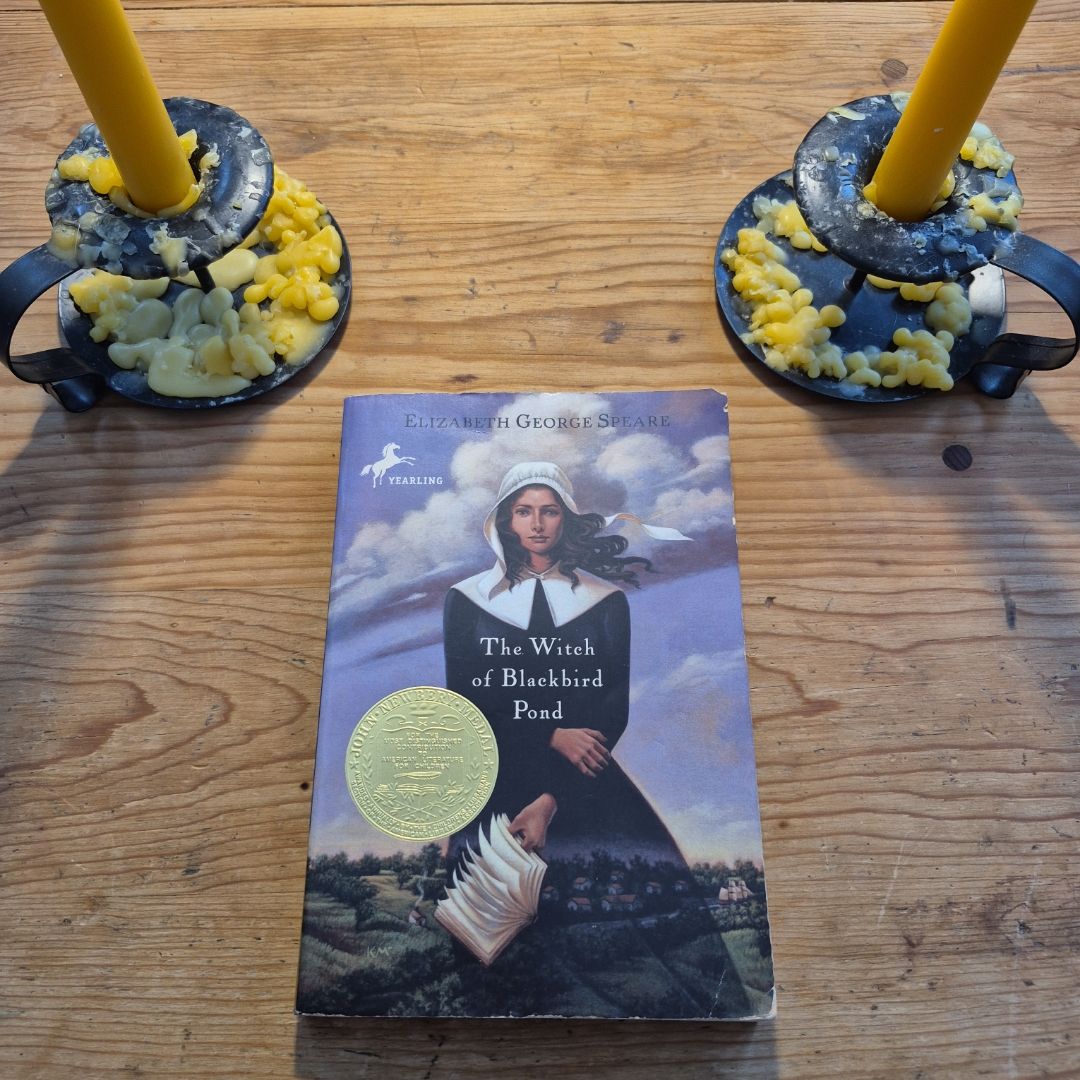 The Witch of Blackbird Pond by Elizabeth George Speare - ISBN ...