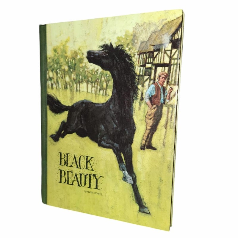 Black Beauty 1970 Version 