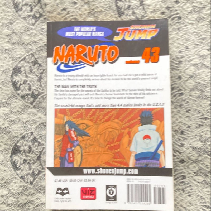 Naruto, Vol. 43