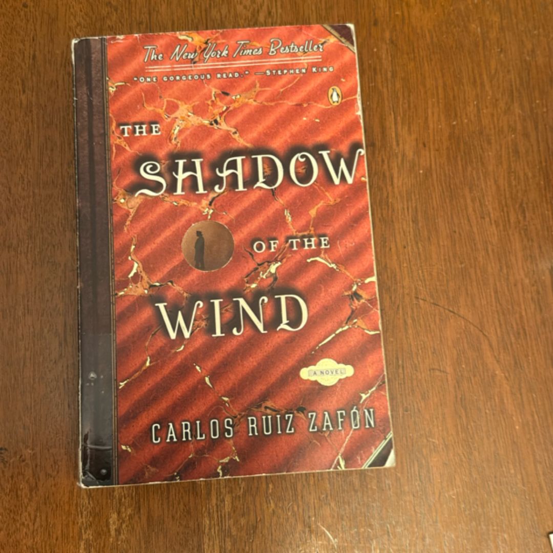 The Shadow of the Wind