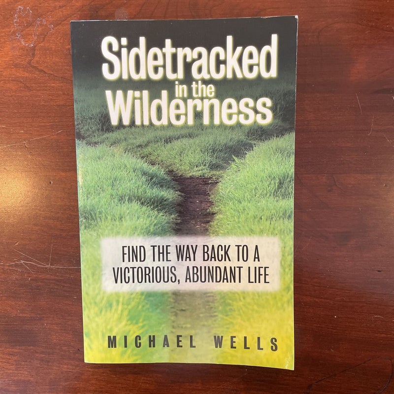 Sidetracked in the Wilderness