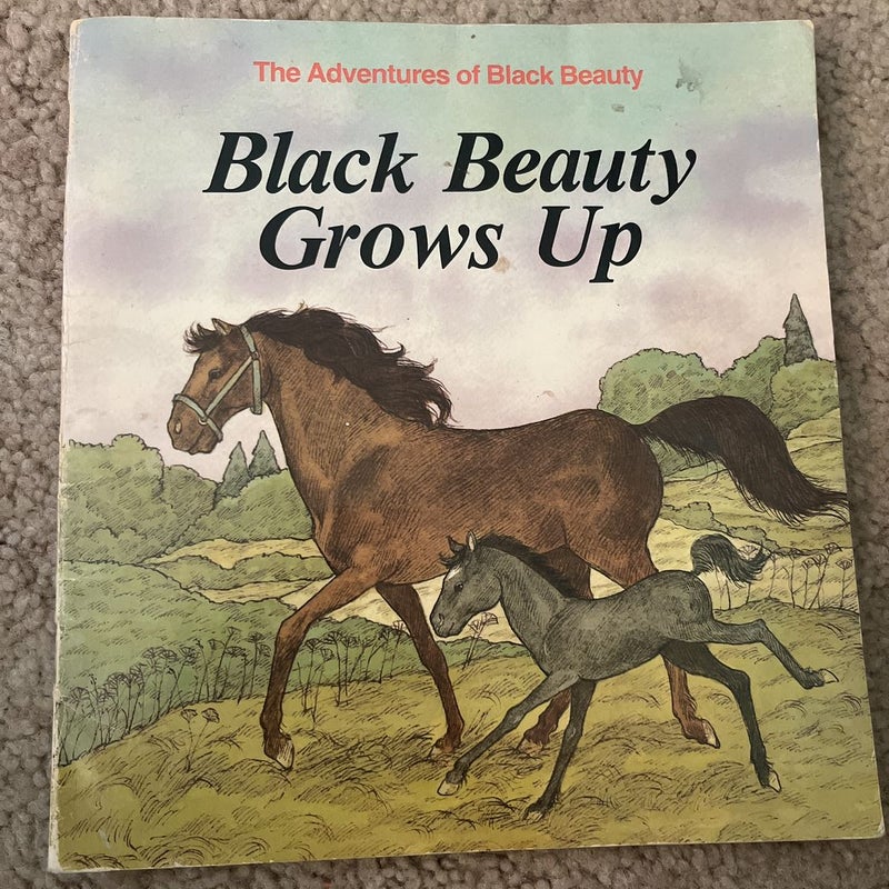 Black Beauty Grows Up