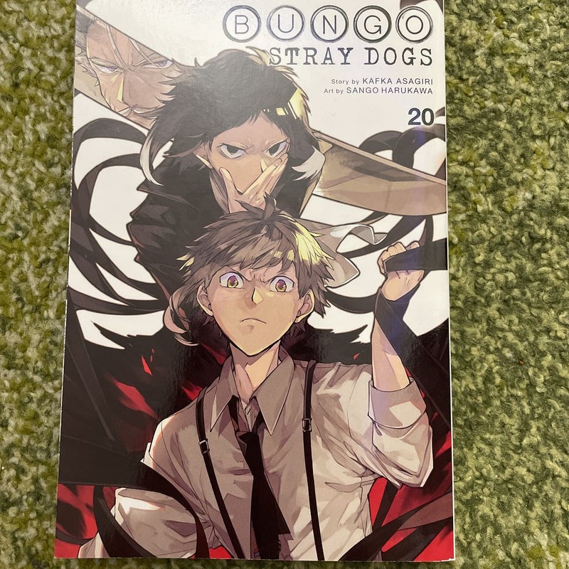 Bungo Stray Dogs, Vol. 20