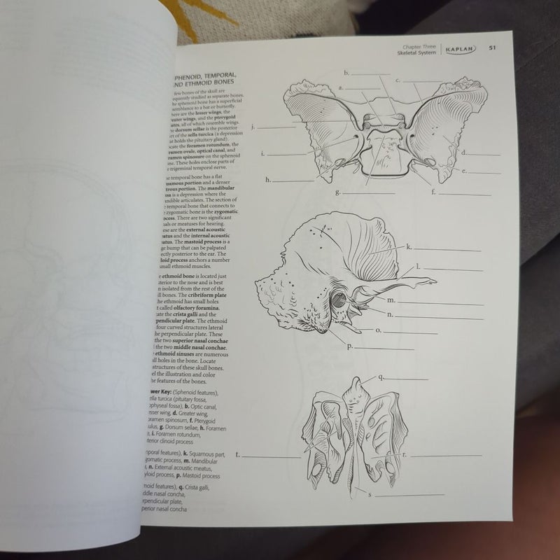 Kaplan Anatomy Coloring Book