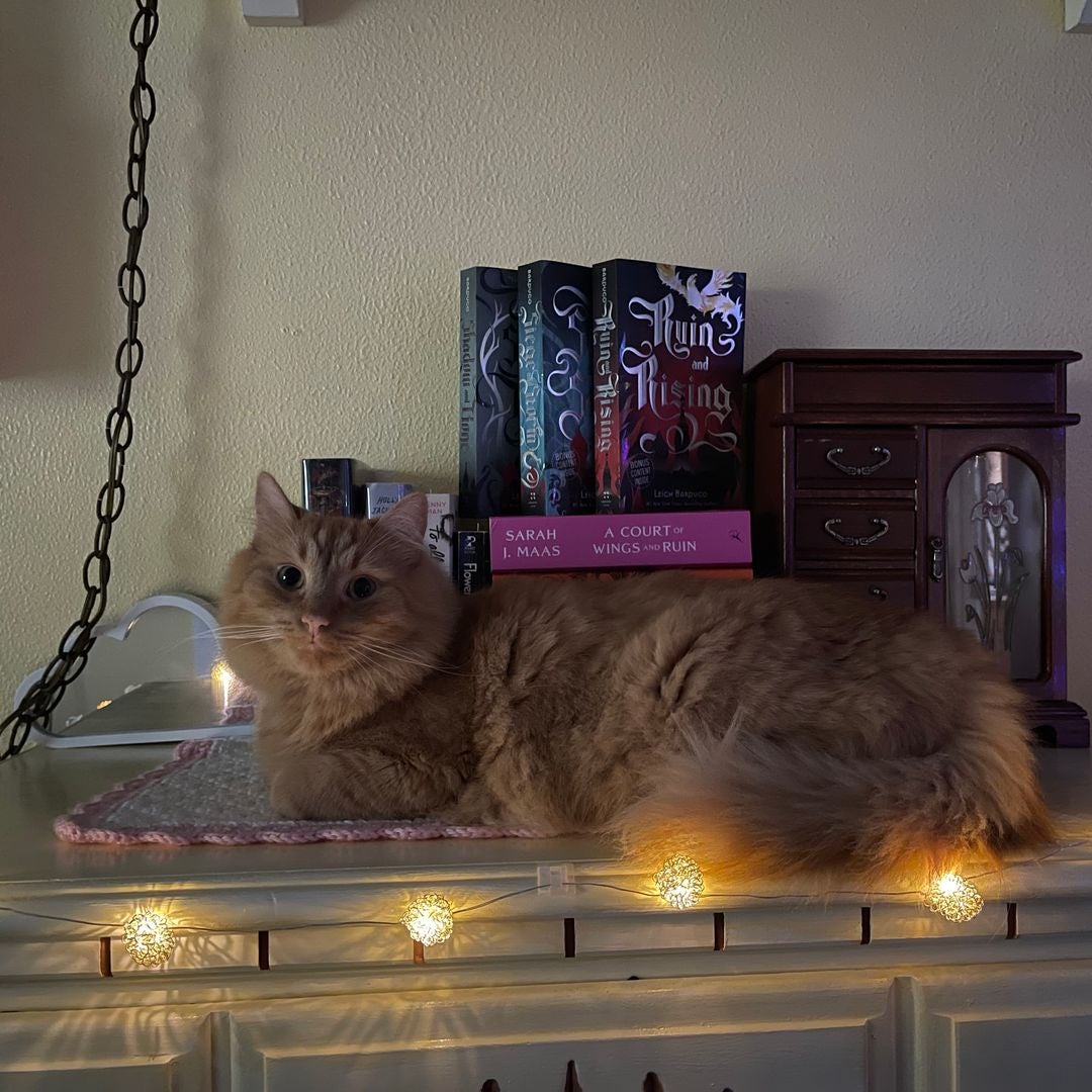 Sierra’s lil’ bookshelf
