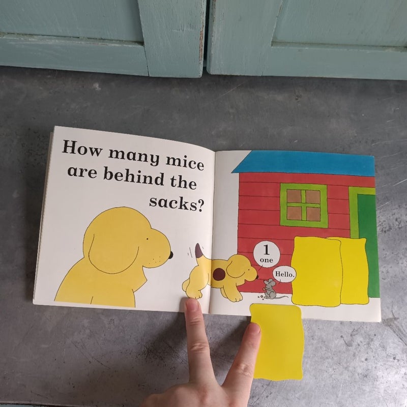 Spot Can Count