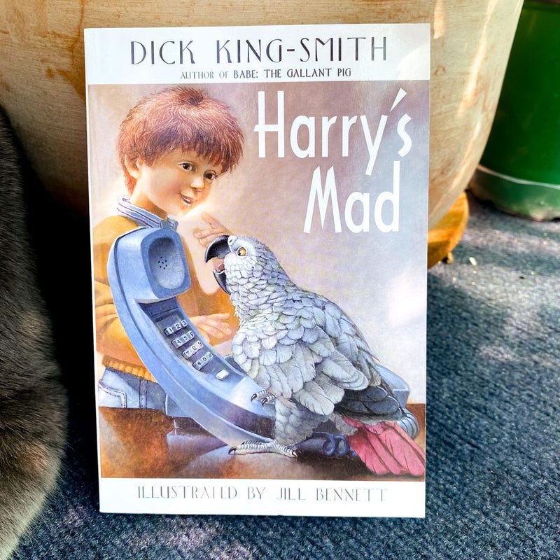 Harry's Mad