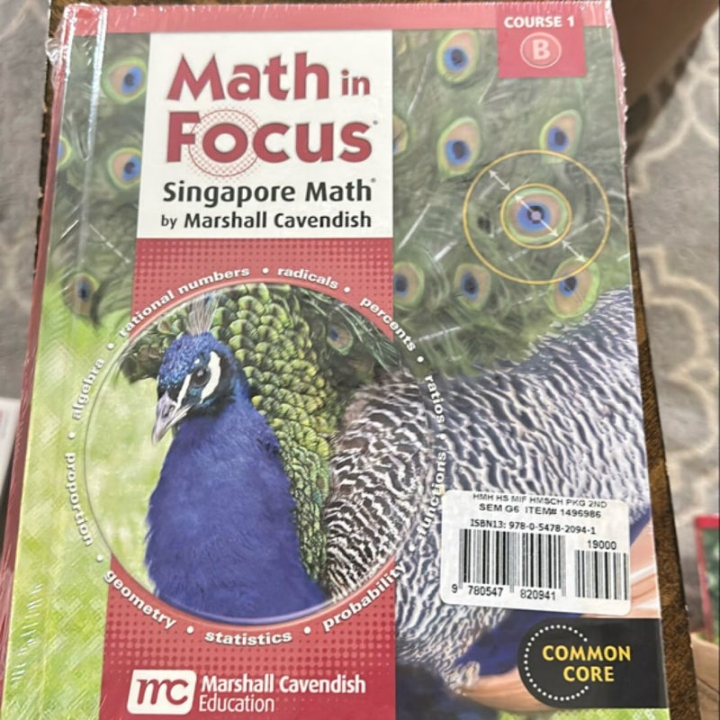 Math in Focus Course 1b Grd 6