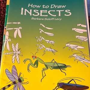 How to Draw Insects