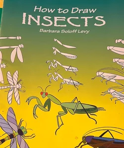 How to Draw Insects