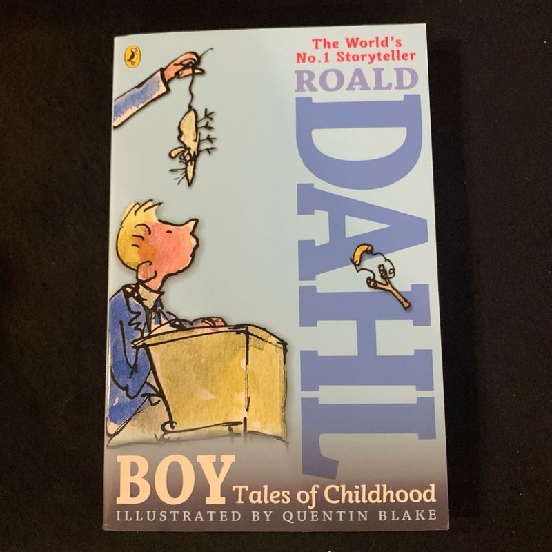 Boy: Tales of Childhood