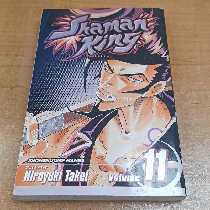 Shaman King, Vol. 11