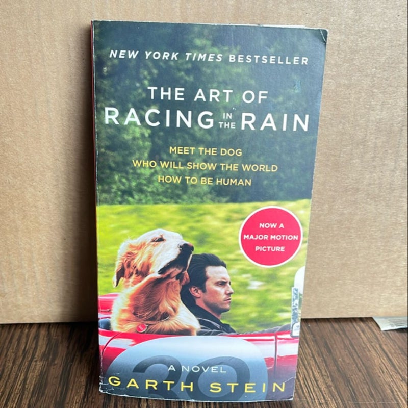 The Art of Racing in the Rain Movie Tie-In Edition