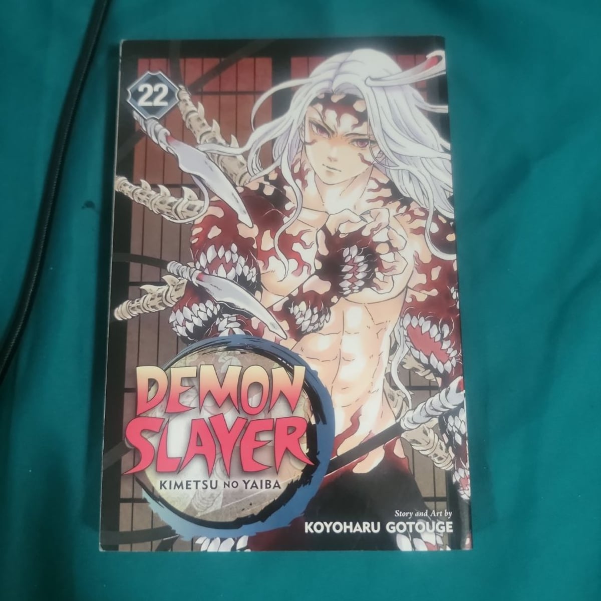 Demon Slayer: Kimetsu No Yaiba, Vol. 22 by Koyoharu Gotouge
