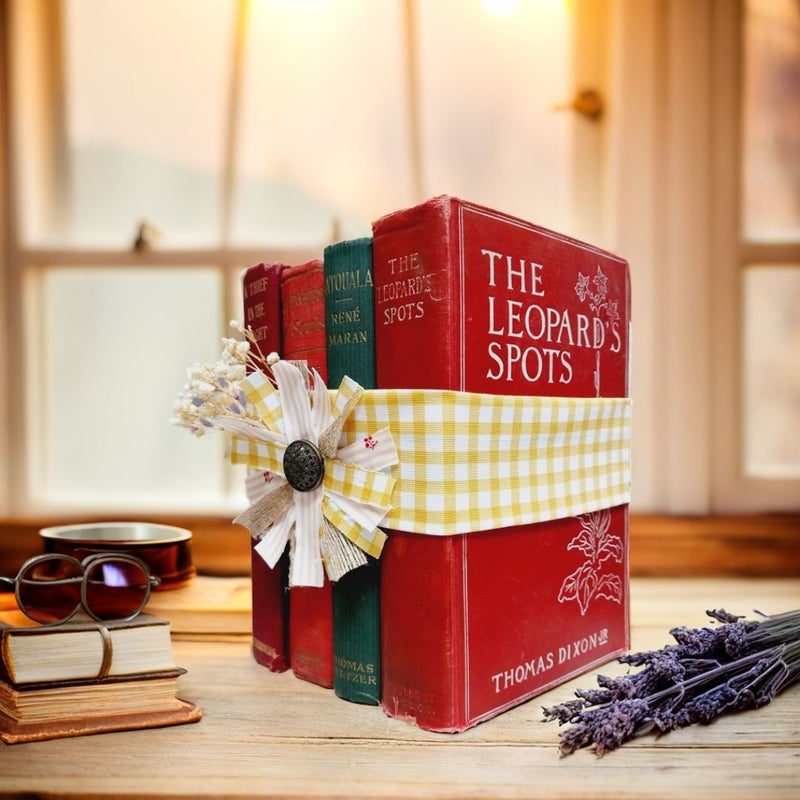 Antique Book Bundle Over 100 Years Old - Vintage Adventure & Romance - Perfect for Cottage Charm or Unique Book Lover Gift